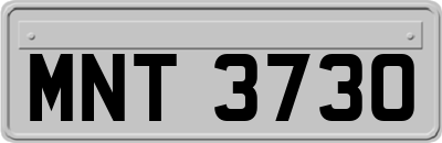 MNT3730
