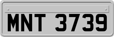MNT3739