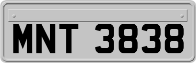 MNT3838