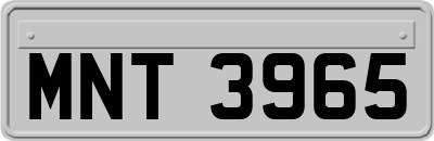 MNT3965