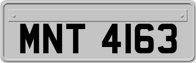 MNT4163