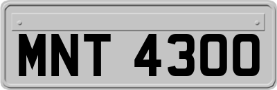 MNT4300