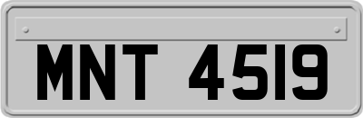 MNT4519