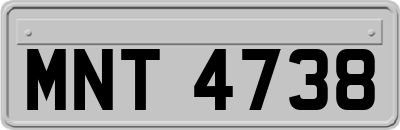 MNT4738