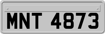 MNT4873