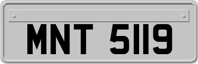 MNT5119
