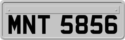 MNT5856