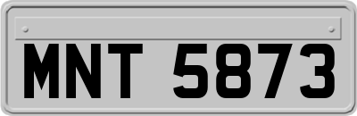 MNT5873