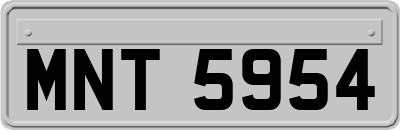 MNT5954