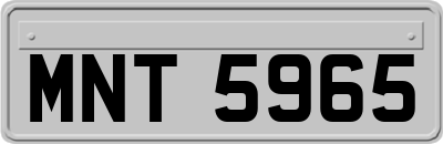 MNT5965