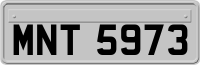 MNT5973