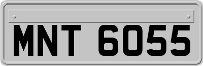 MNT6055