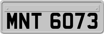 MNT6073