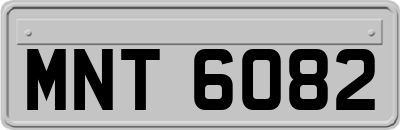 MNT6082
