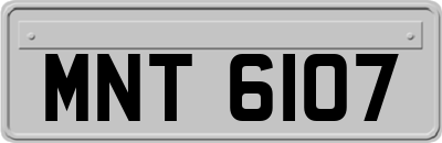 MNT6107