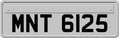 MNT6125