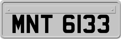 MNT6133