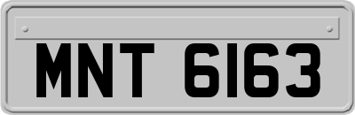MNT6163