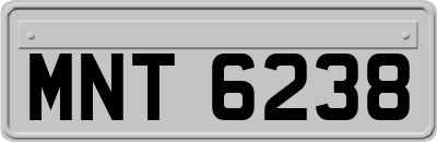 MNT6238