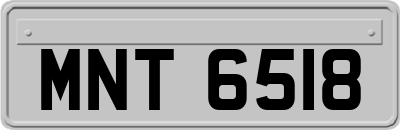 MNT6518