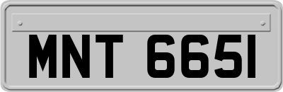 MNT6651