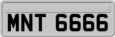 MNT6666