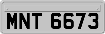 MNT6673
