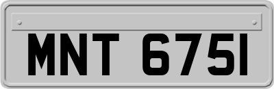 MNT6751