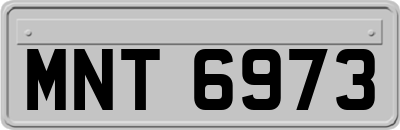 MNT6973