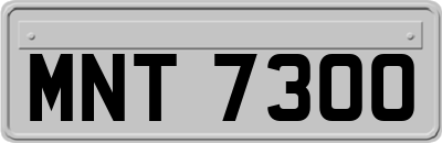 MNT7300