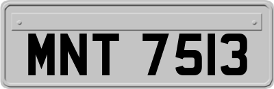MNT7513