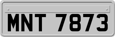 MNT7873