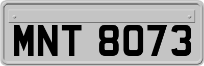 MNT8073