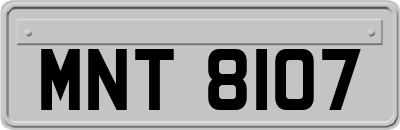 MNT8107