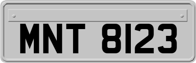 MNT8123