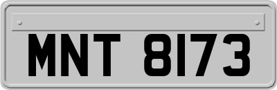 MNT8173