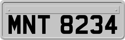 MNT8234