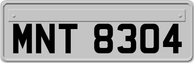 MNT8304