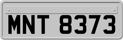 MNT8373