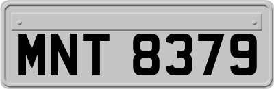 MNT8379