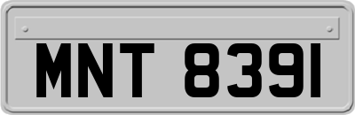 MNT8391