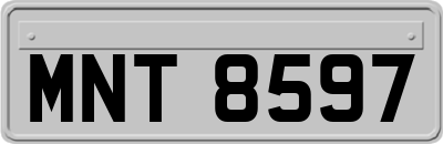 MNT8597