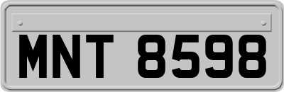 MNT8598