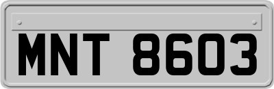 MNT8603