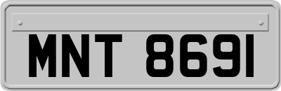 MNT8691