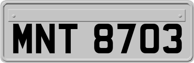 MNT8703