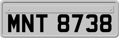 MNT8738