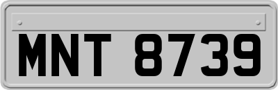 MNT8739