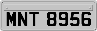 MNT8956