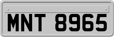 MNT8965